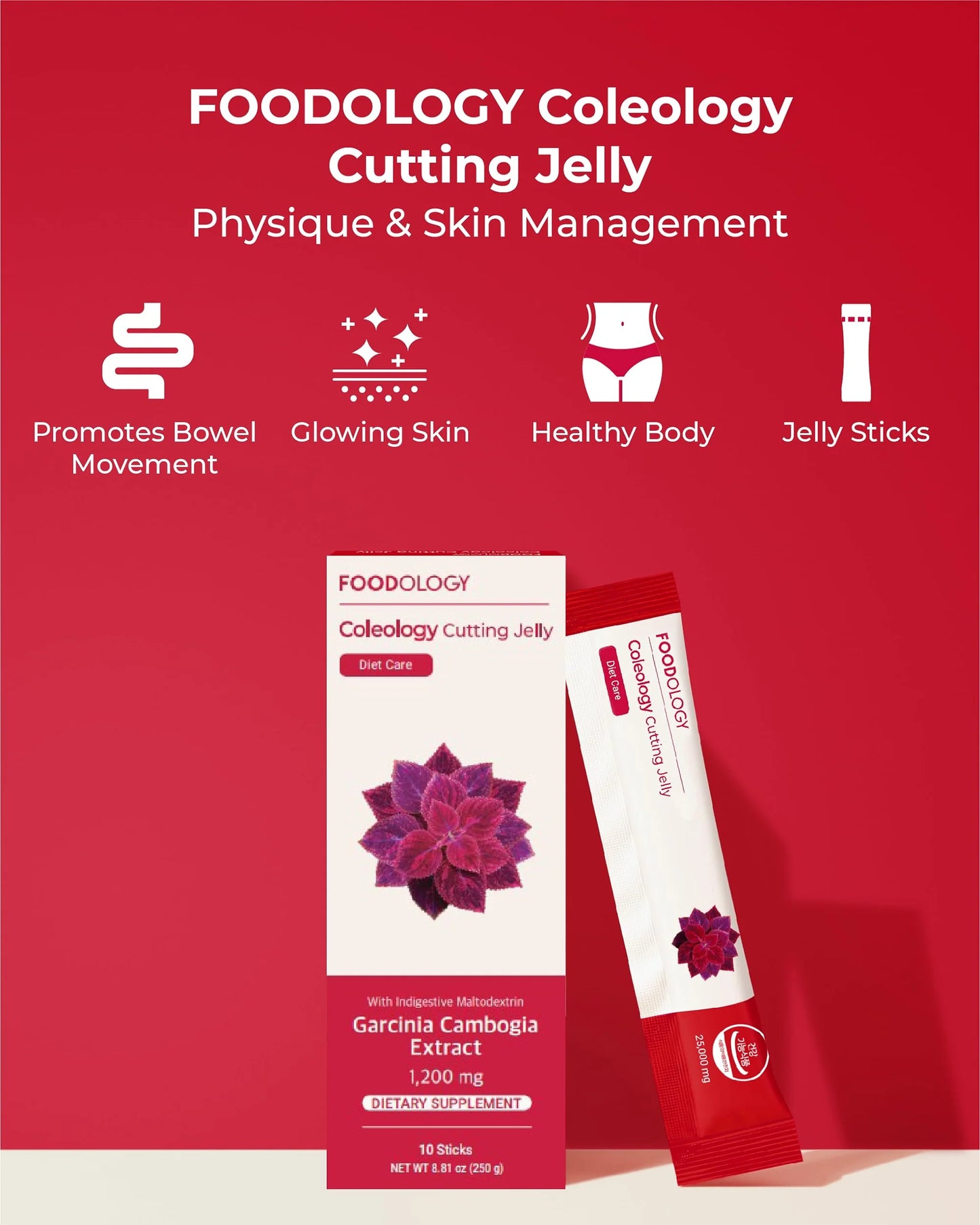 FOODOLOGY - Coleology Cutting Jelly [25g x 10 sticks]