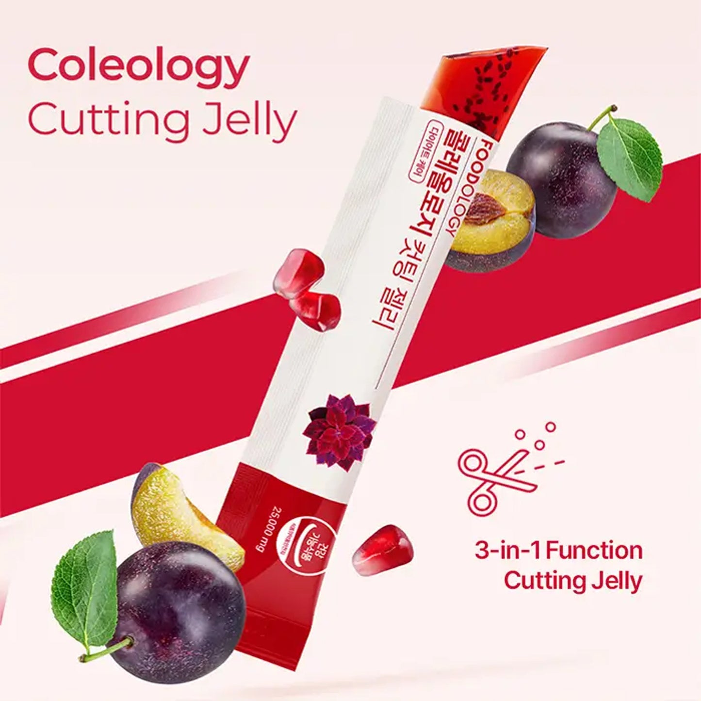 FOODOLOGY - Coleology Cutting Jelly [25g x 10 sticks]